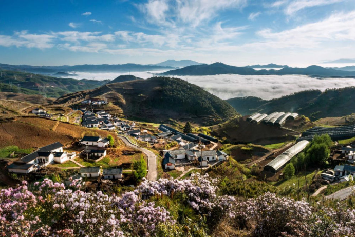 10 LETOU电气集团科技兴农 助力凉山火普村打造数字乡村804.png